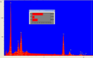 SEM-EDX analysis